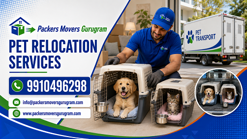 Pet Relocation in Gurugram